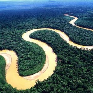 Amazonas